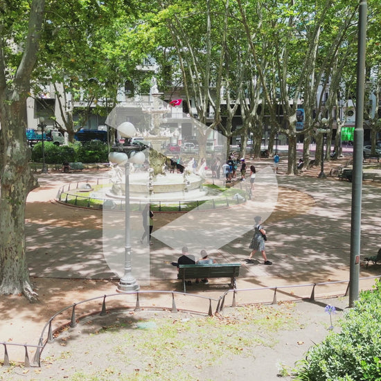 Órbita de la Plaza de la Constitución (Matríz), Montevideo, Uruguay