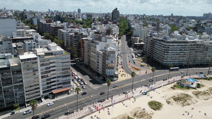 Inmobiliarias y desarrollos